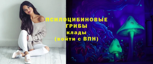 гидропоника Покачи