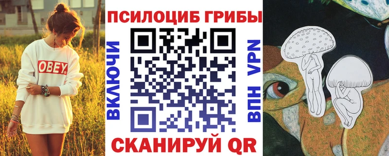 купить   Черепаново  Псилоцибиновые грибы прущие грибы 